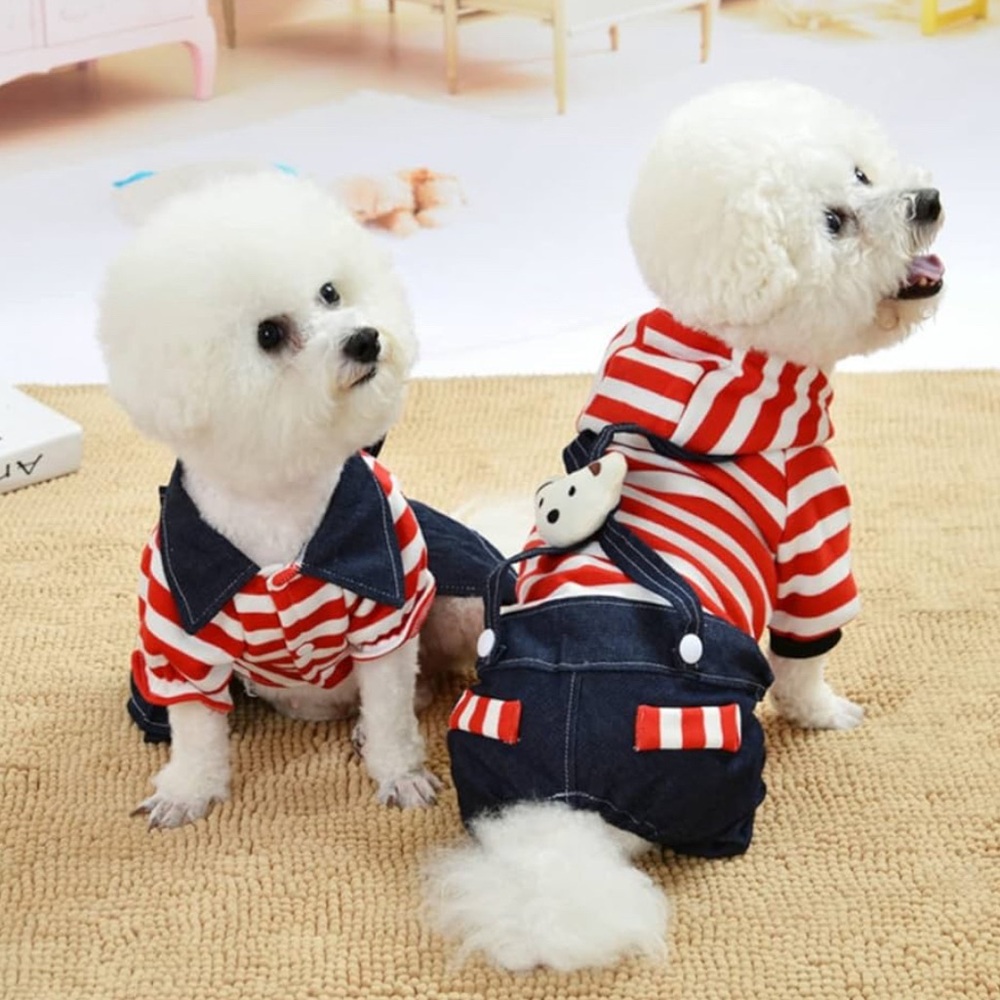 Chic Striped Red and White Dog Hoodie